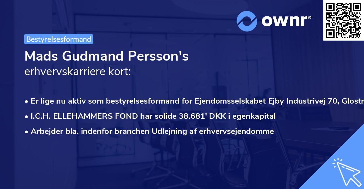 Mads Gudmand Persson's erhvervskarriere kort