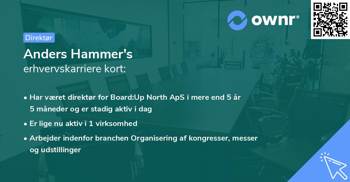Anders Hammer's erhvervskarriere kort