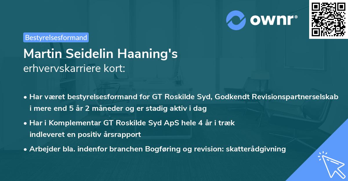 Martin Seidelin Haaning's erhvervskarriere kort