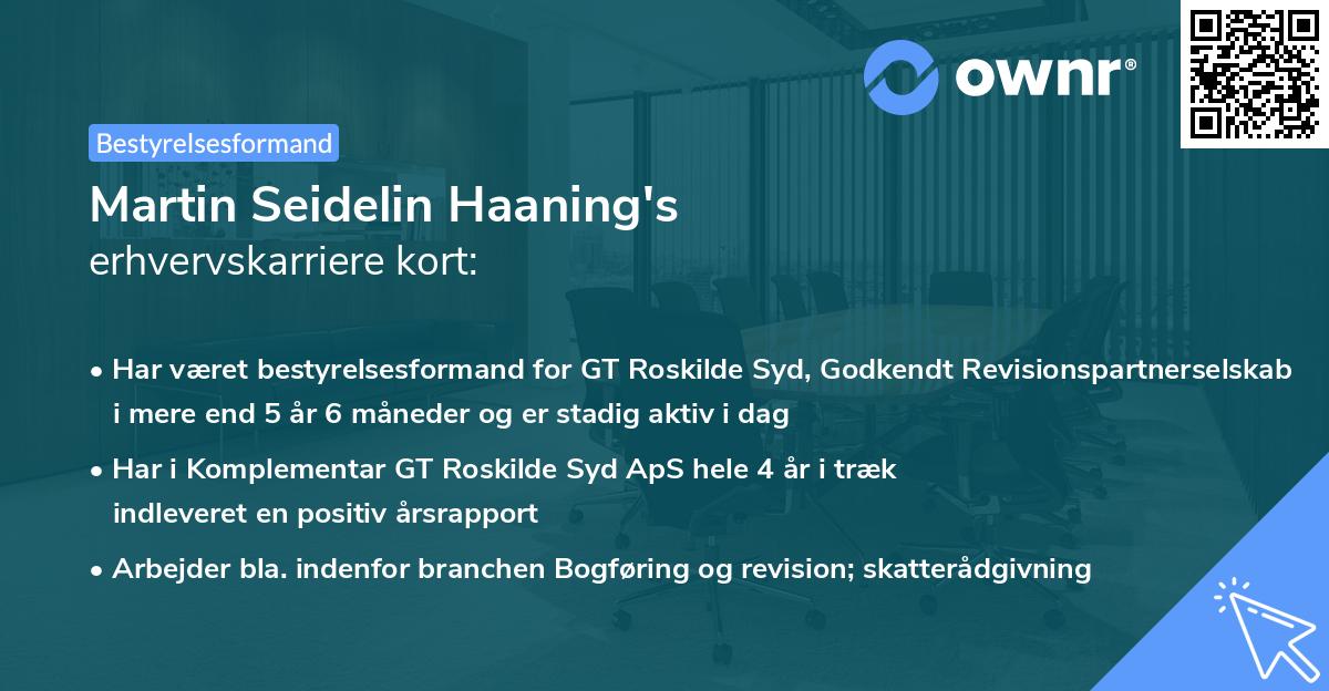 Martin Seidelin Haaning's erhvervskarriere kort