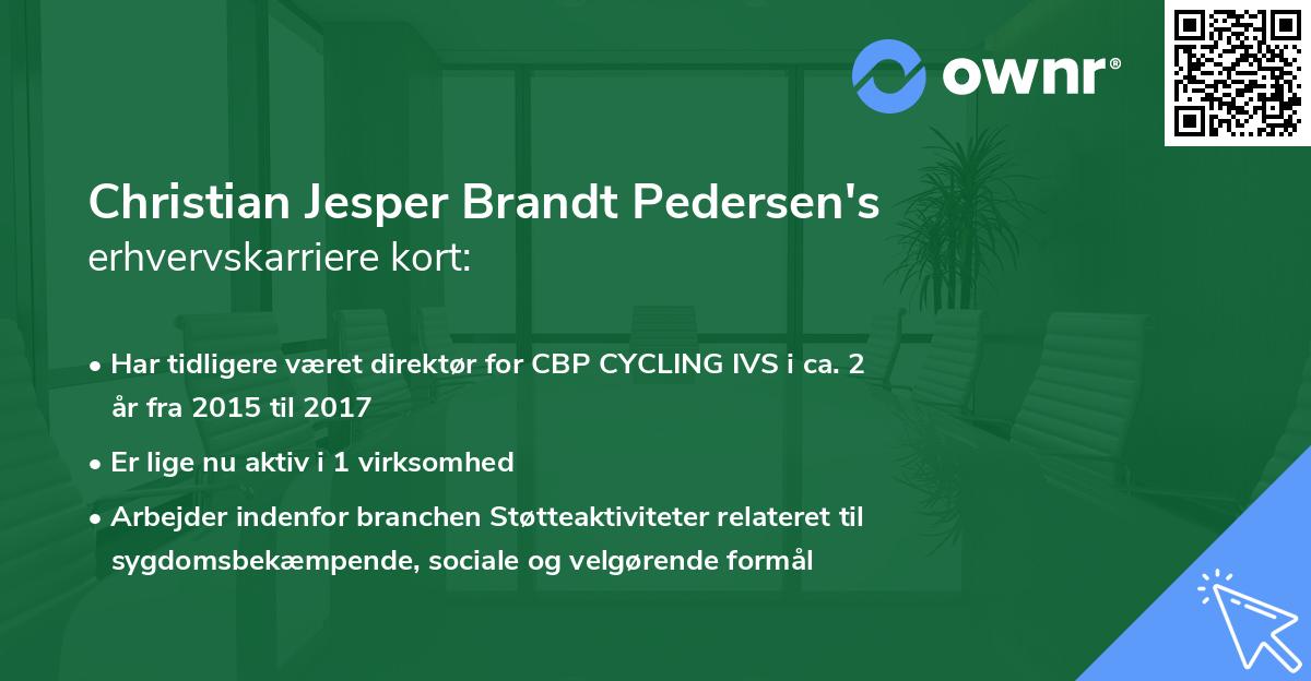 Christian Jesper Brandt Pedersen's erhvervskarriere kort