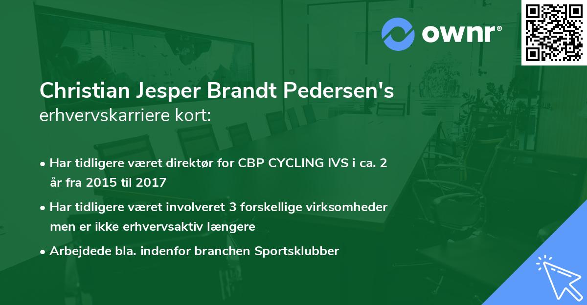 Christian Jesper Brandt Pedersen's erhvervskarriere kort