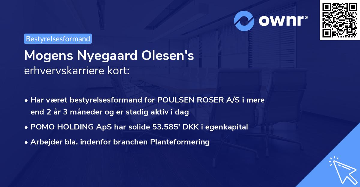 Mogens Nyegaard Olesen's erhvervskarriere kort