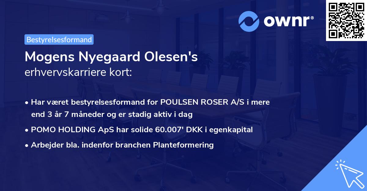 Mogens Nyegaard Olesen's erhvervskarriere kort