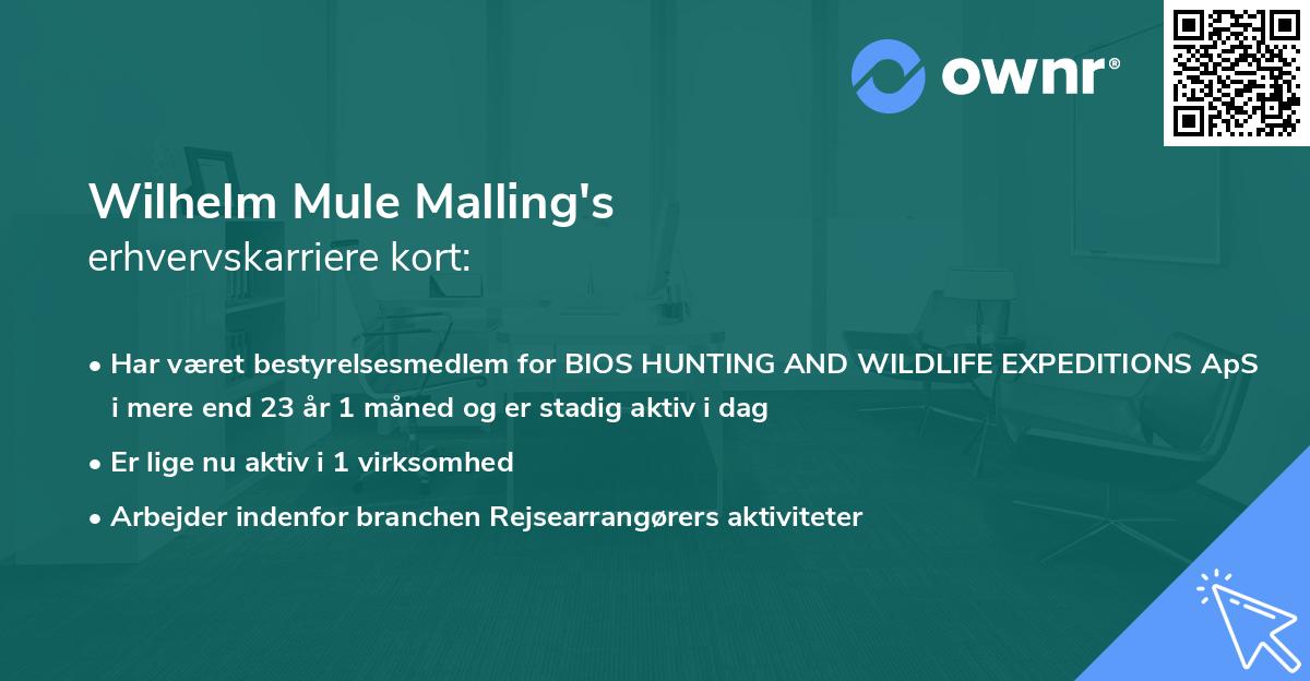Wilhelm Mule Malling's erhvervskarriere kort