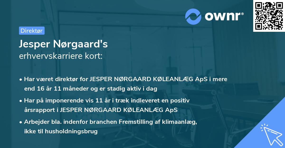 Jesper Nørgaard's erhvervskarriere kort