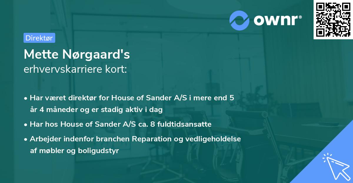 Mette Nørgaard's erhvervskarriere kort