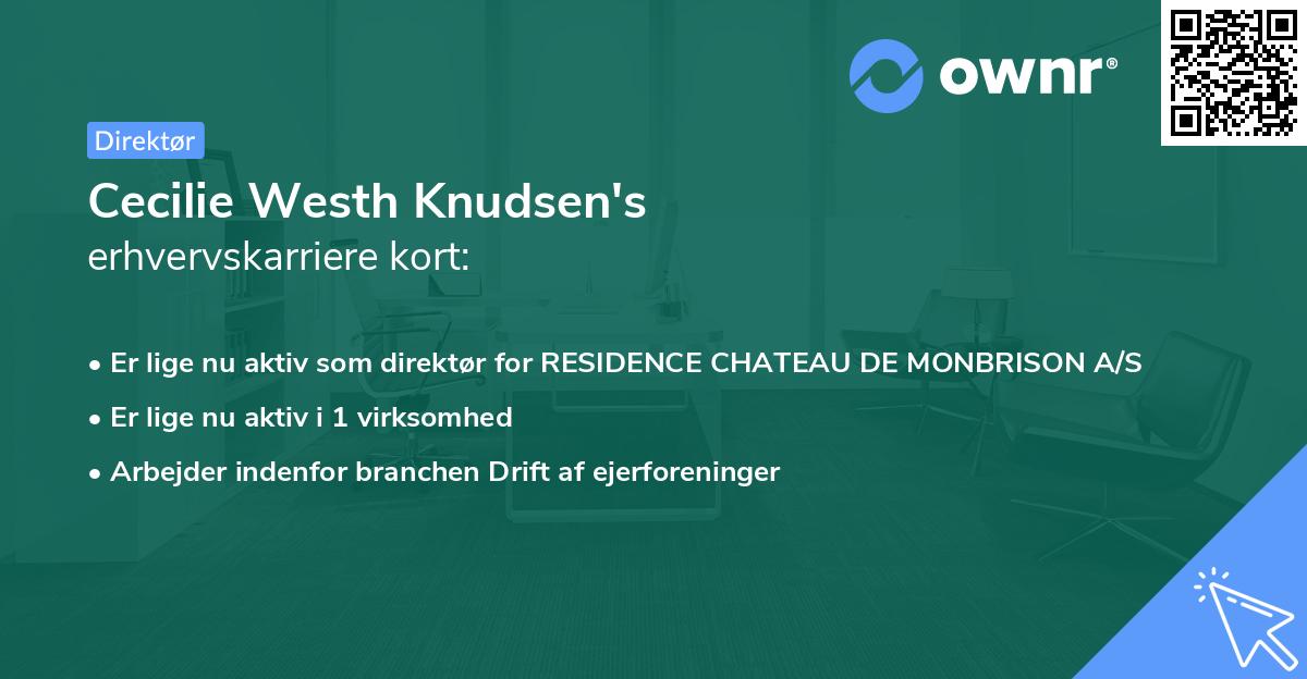 Cecilie Westh Knudsen's erhvervskarriere kort