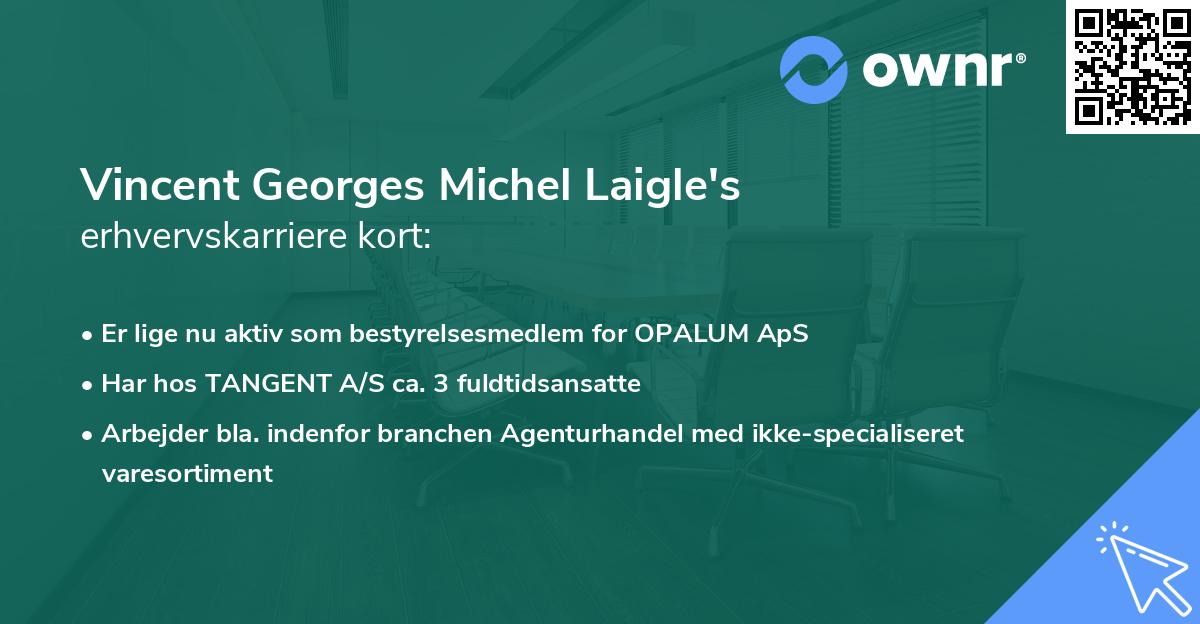 Vincent Georges Michel Laigle's erhvervskarriere kort