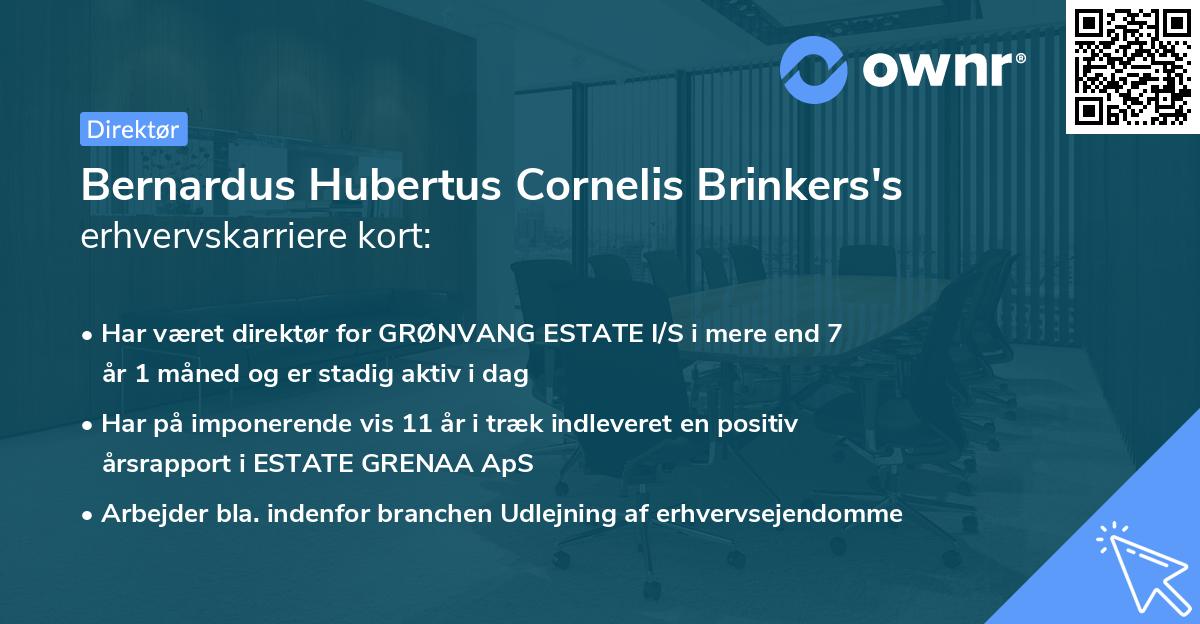 Bernardus Hubertus Cornelis Brinkers's erhvervskarriere kort