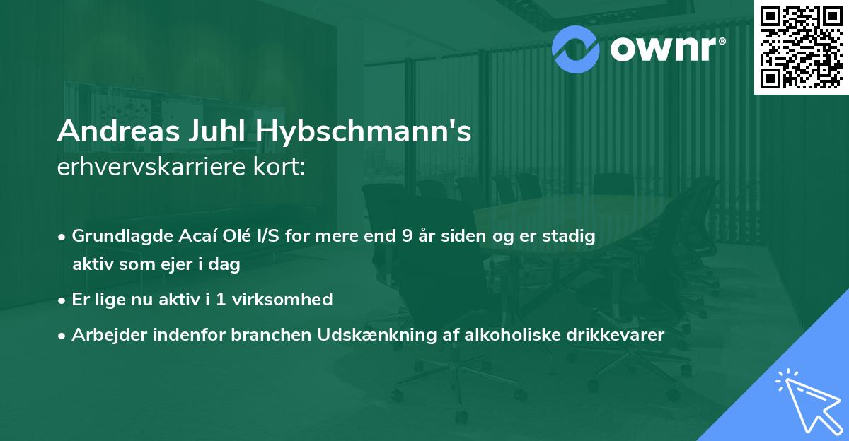 Andreas Juhl Hybschmann's erhvervskarriere kort