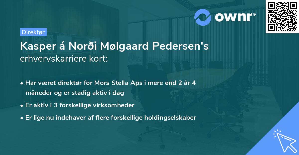 Kasper á Norði Mølgaard Pedersen's erhvervskarriere kort