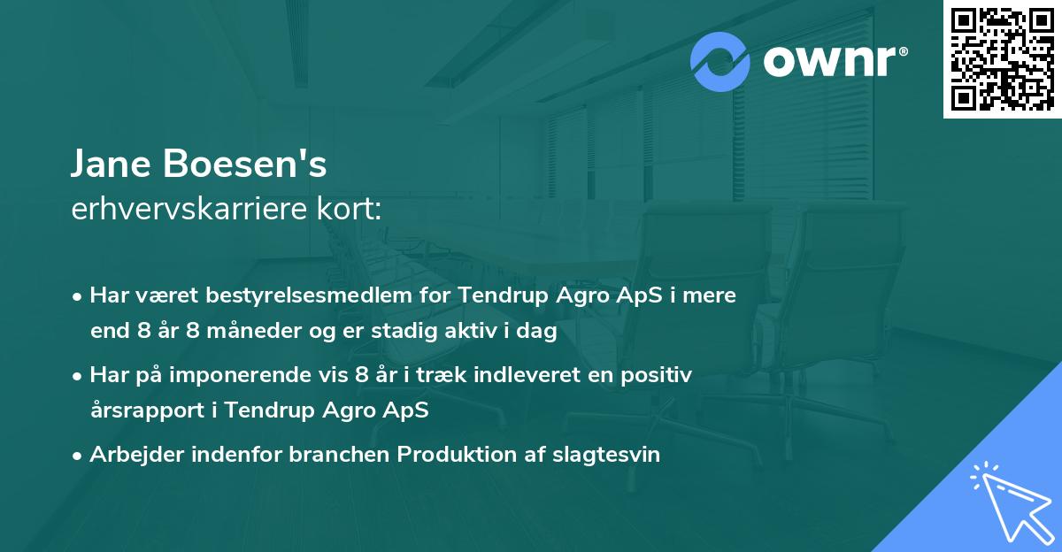 Jane Boesen's erhvervskarriere kort