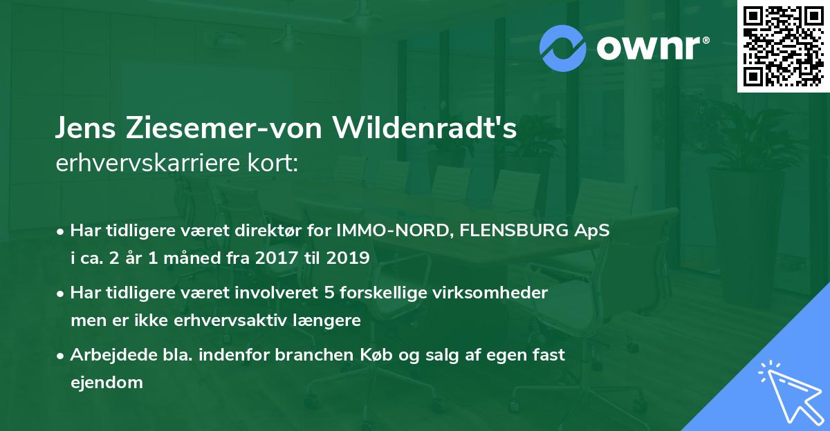 Jens Ziesemer-von Wildenradt's erhvervskarriere kort