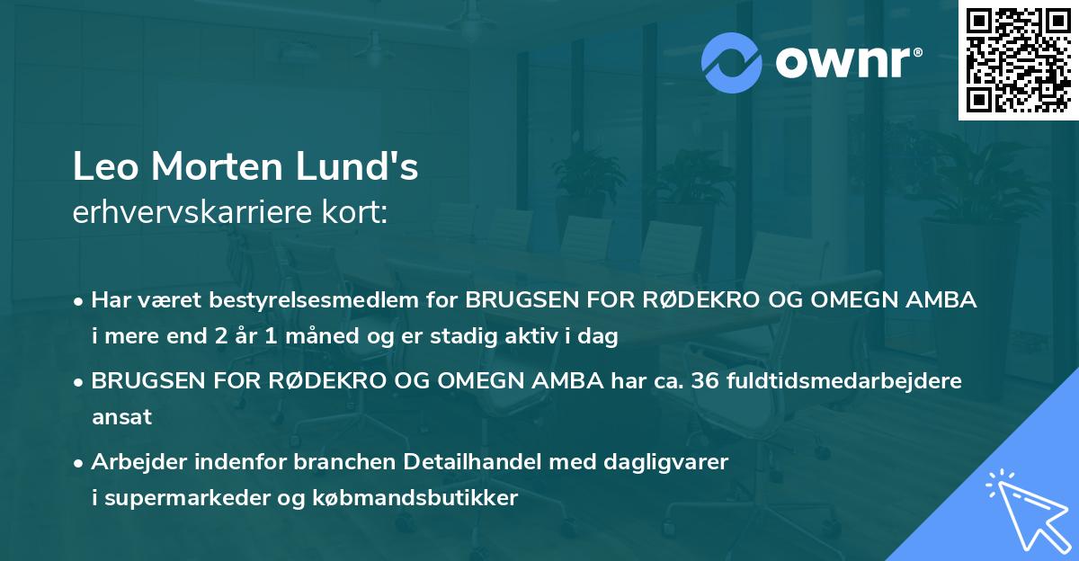Leo Morten Lund's erhvervskarriere kort