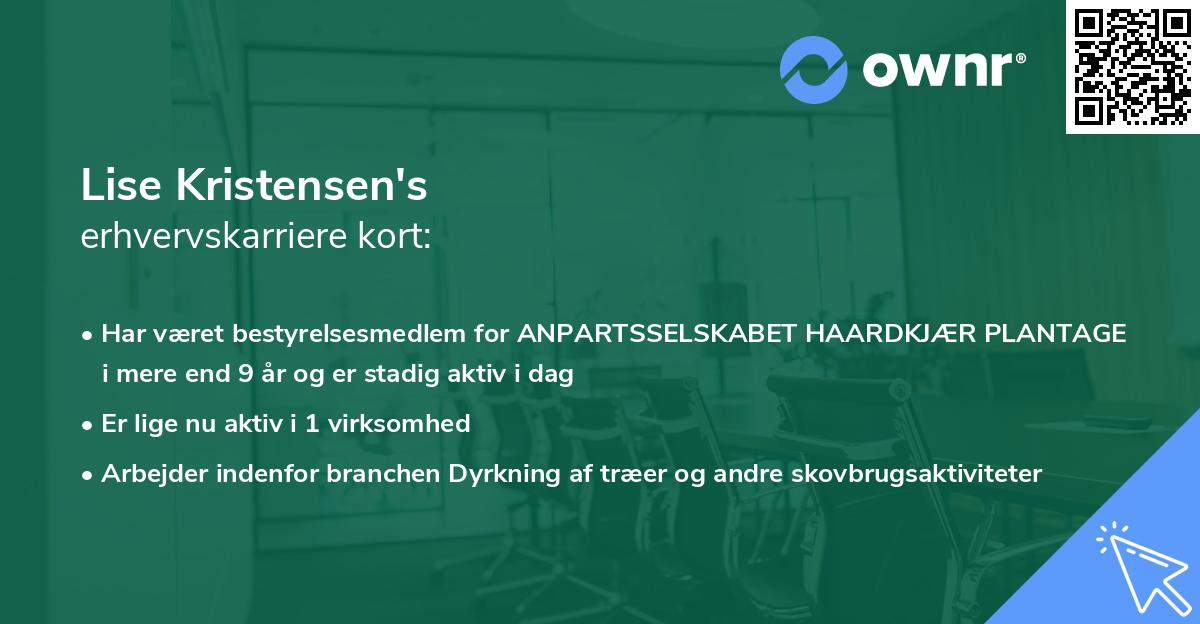 Lise Kristensen's erhvervskarriere kort