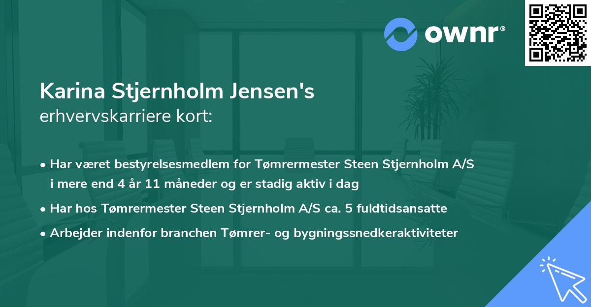 Karina Stjernholm Jensen's erhvervskarriere kort