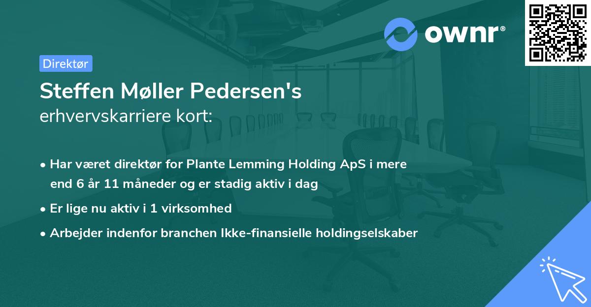 Steffen Møller Pedersen's erhvervskarriere kort