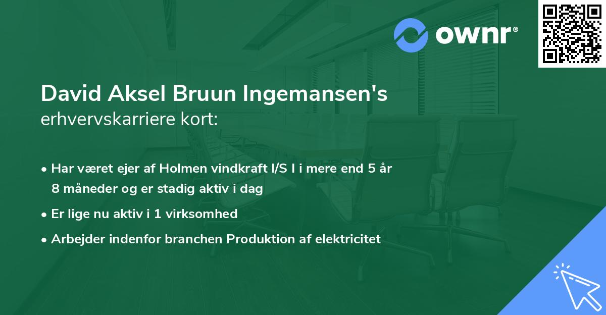 David Aksel Bruun Ingemansen's erhvervskarriere kort