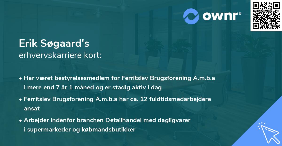 Erik Søgaard's erhvervskarriere kort