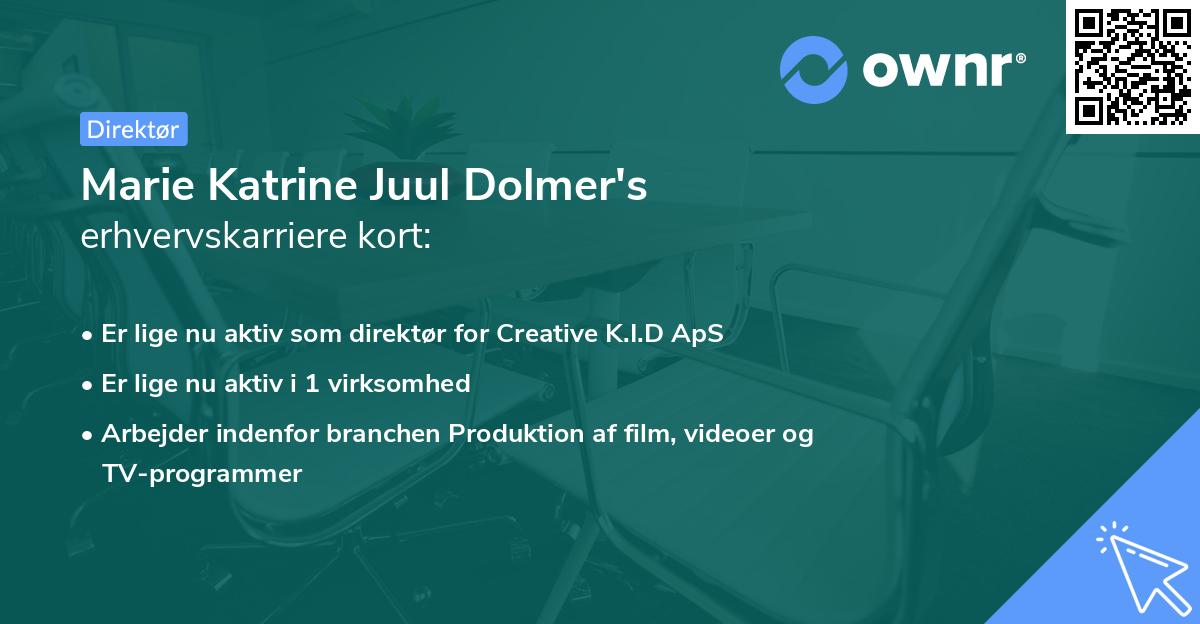 Marie Katrine Juul Dolmer's erhvervskarriere kort