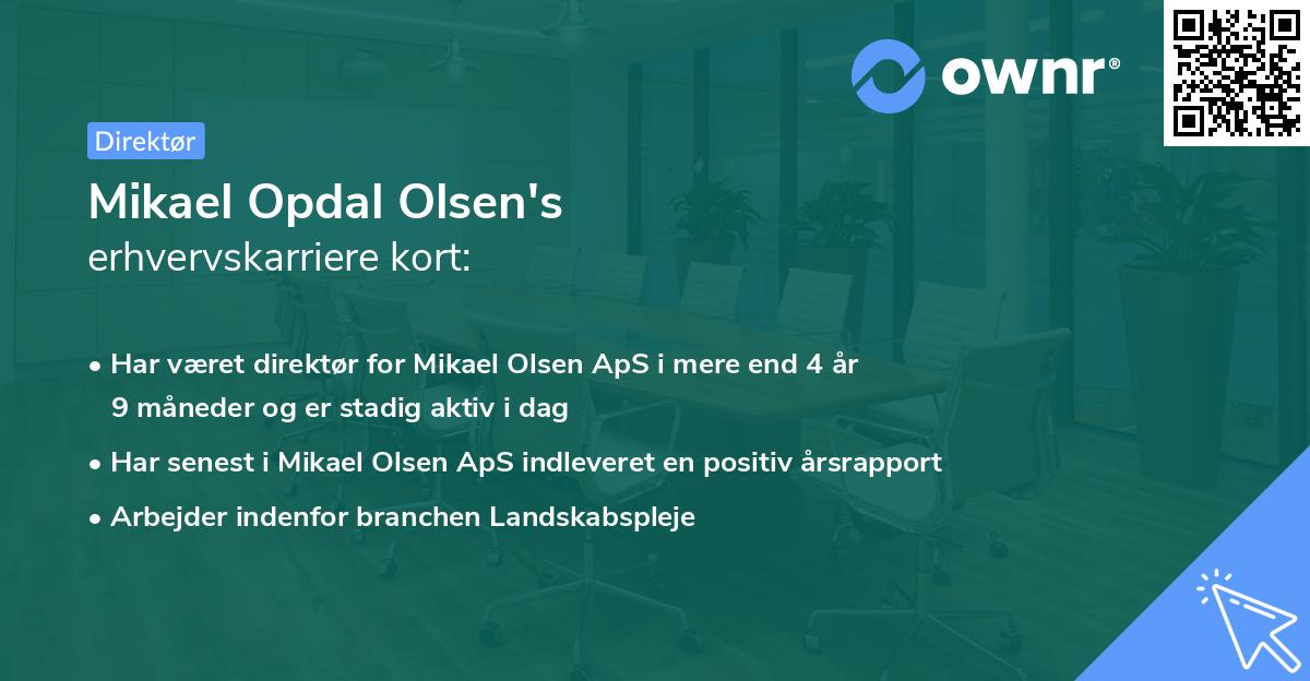 Mikael Opdal Olsen's erhvervskarriere kort