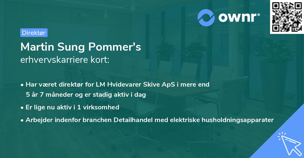 Martin Sung Pommer's erhvervskarriere kort
