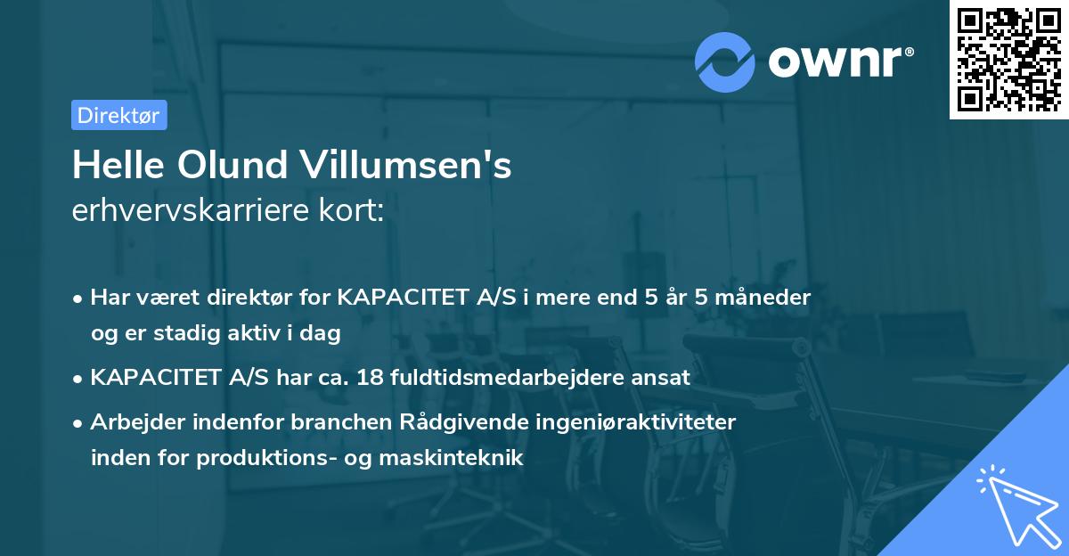 Helle Olund Villumsen's erhvervskarriere kort