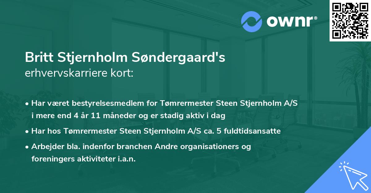 Britt Stjernholm Søndergaard's erhvervskarriere kort