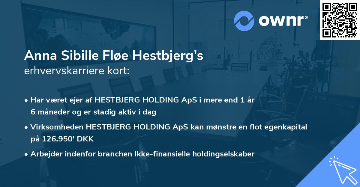 Anna Sibille Fløe Hestbjerg's erhvervskarriere kort