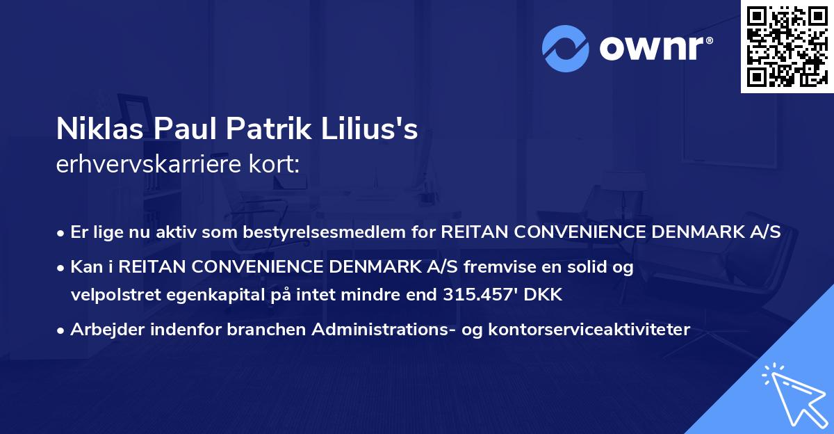 Niklas Paul Patrik Lilius's erhvervskarriere kort