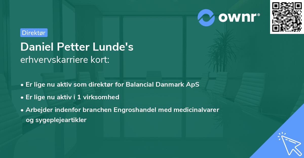 Daniel Petter Lunde's erhvervskarriere kort