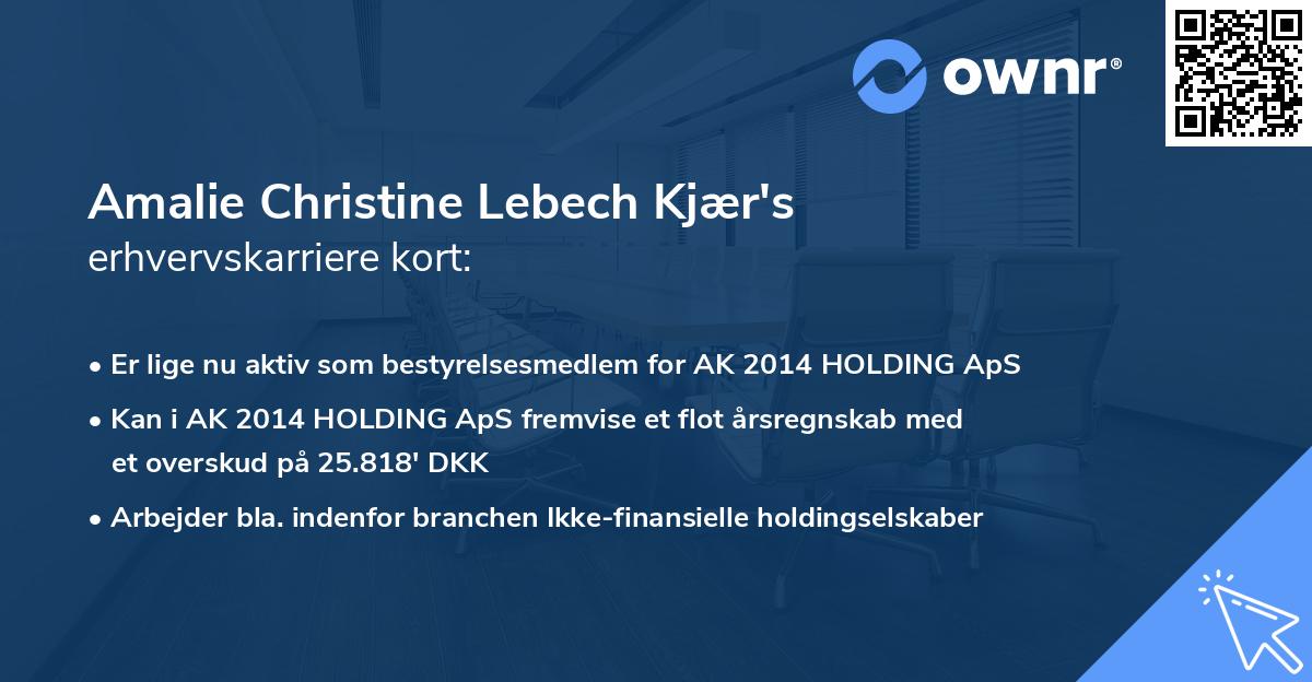 Amalie Christine Lebech Kjær's erhvervskarriere kort