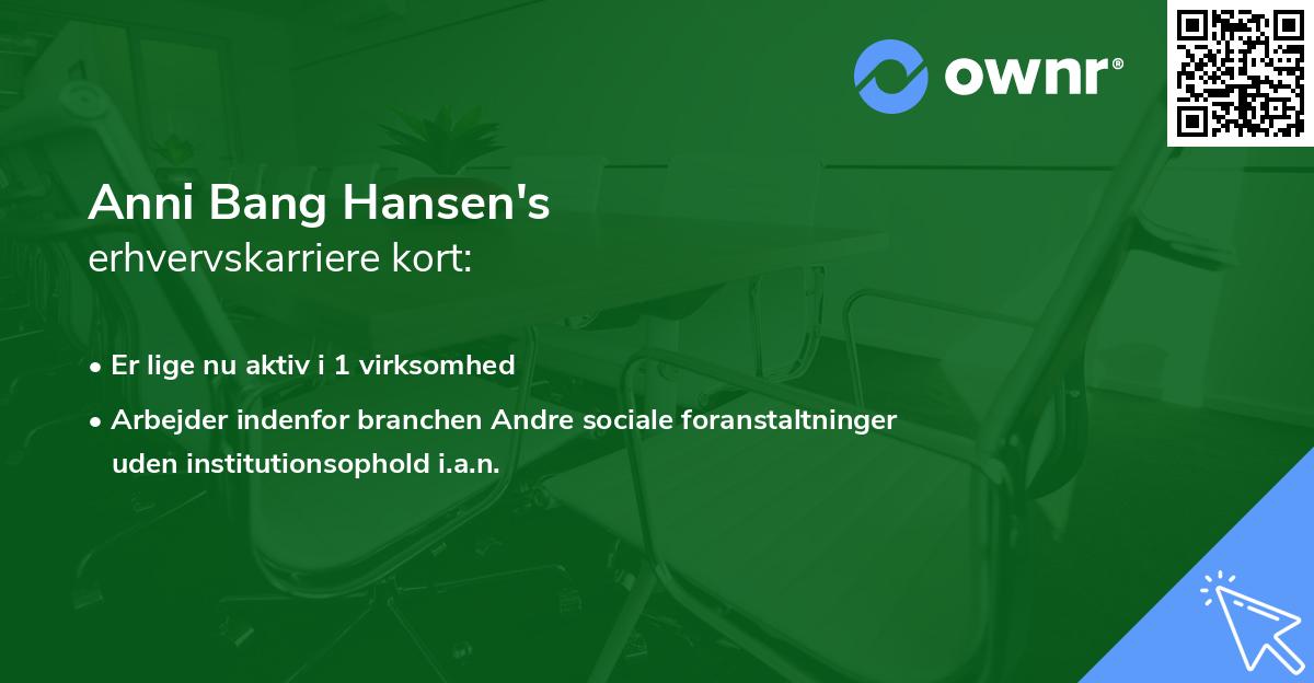 Anni Bang Hansen's erhvervskarriere kort