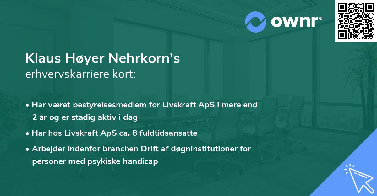Klaus Høyer Nehrkorn's erhvervskarriere kort