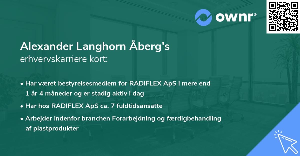 Alexander Langhorn Åberg's erhvervskarriere kort