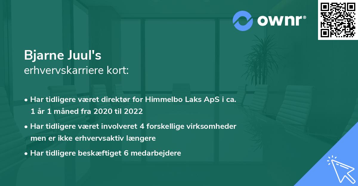 Bjarne Juul's erhvervskarriere kort