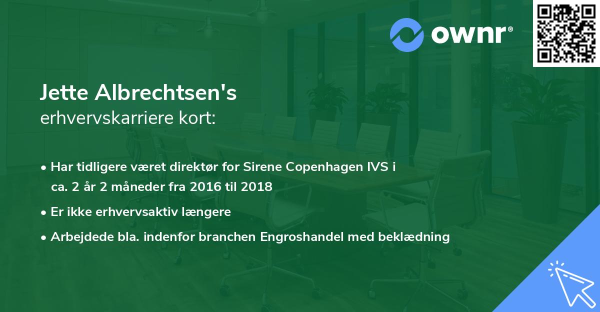 Jette Albrechtsen's erhvervskarriere kort