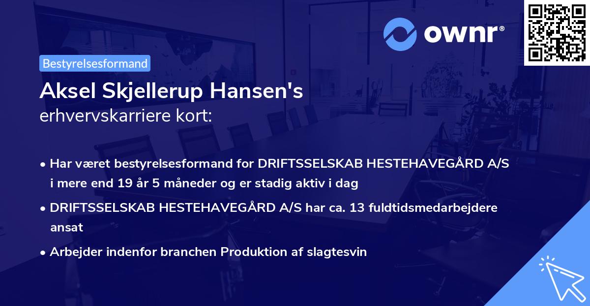 Aksel Skjellerup Hansen's erhvervskarriere kort