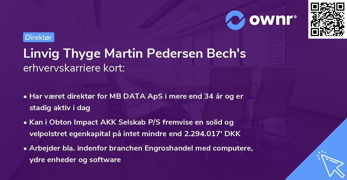 Linvig Thyge Martin Pedersen Bech's erhvervskarriere kort