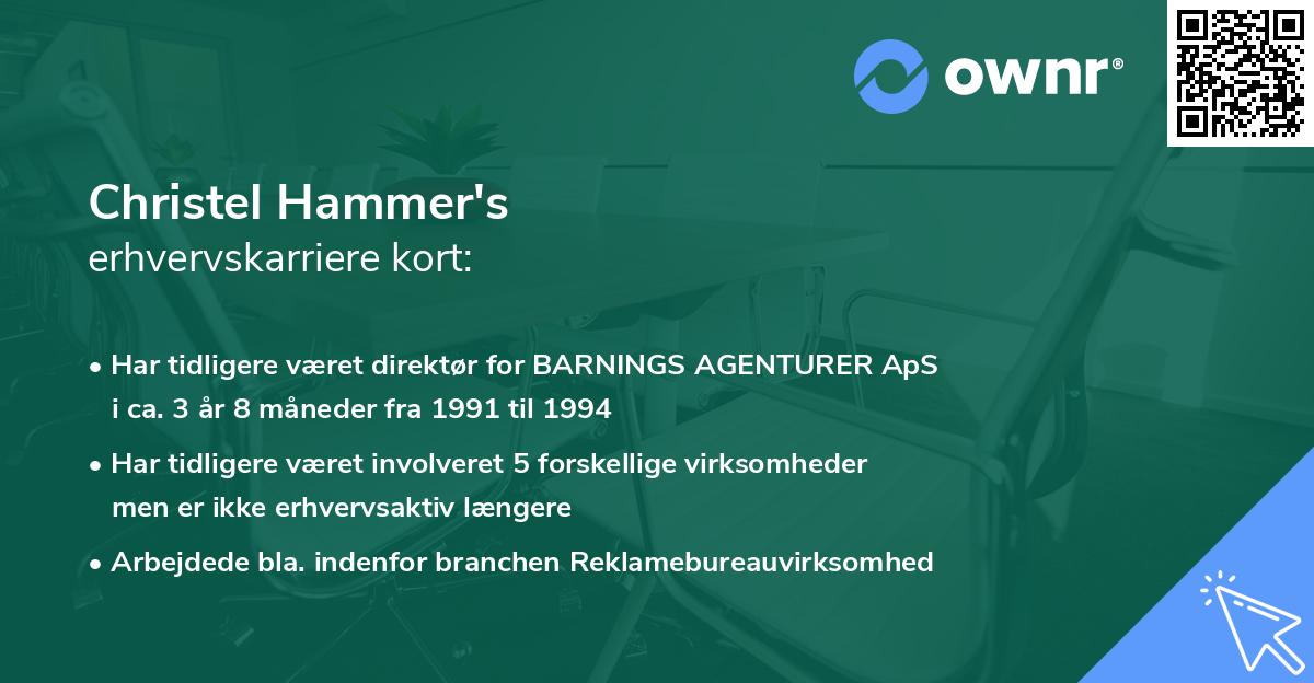 Christel Hammer's erhvervskarriere kort