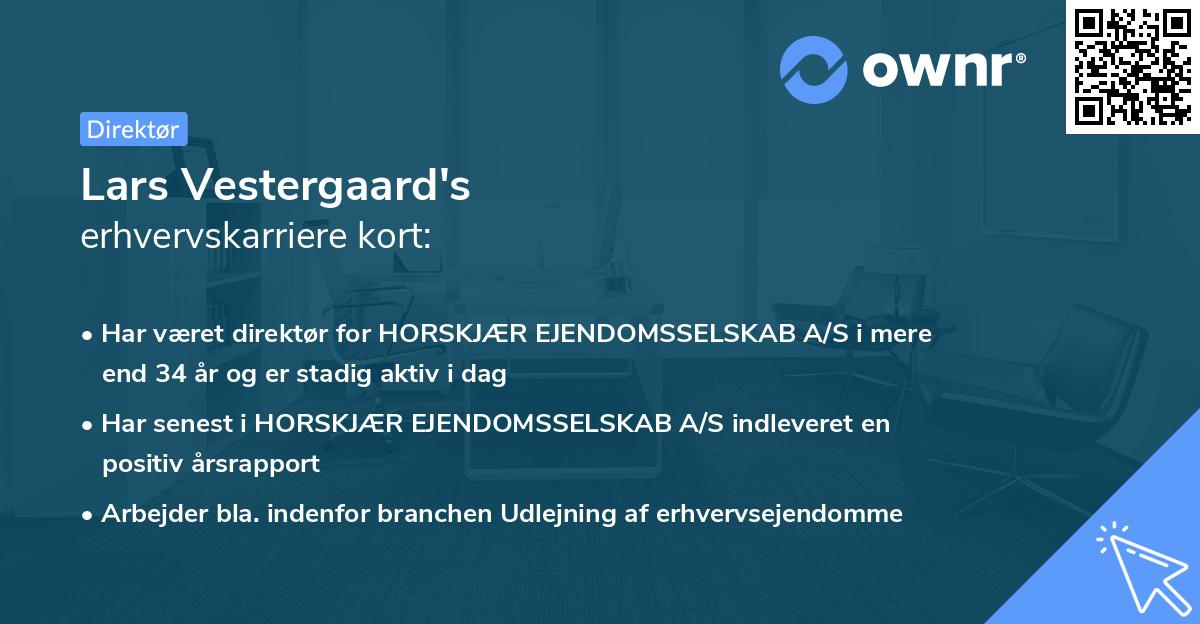 Lars Vestergaard's erhvervskarriere kort