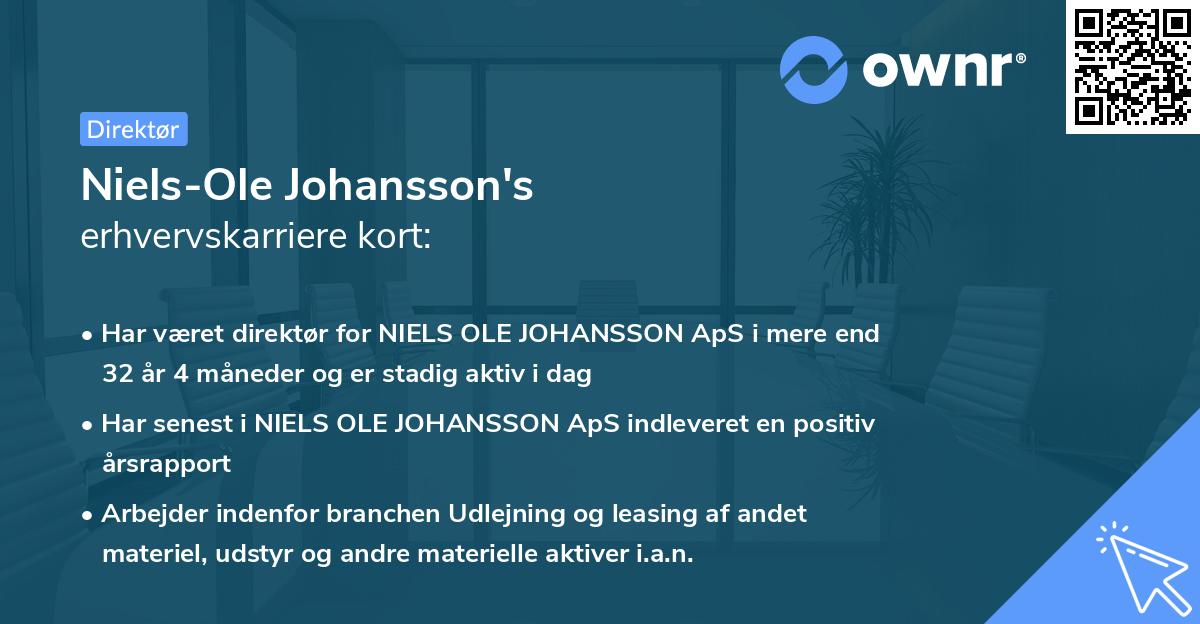 Niels-Ole Johansson's erhvervskarriere kort