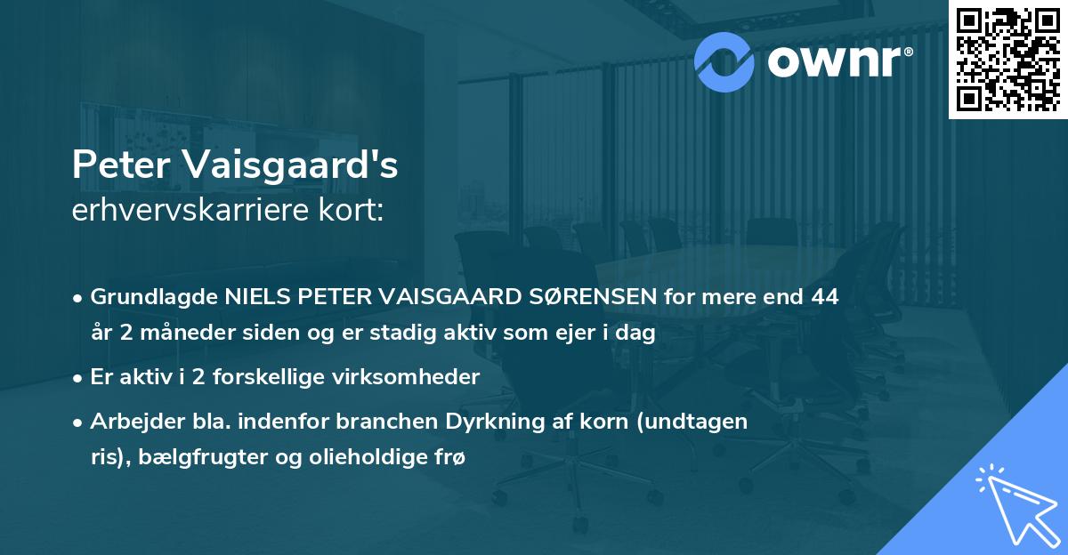 Peter Vaisgaard's erhvervskarriere kort