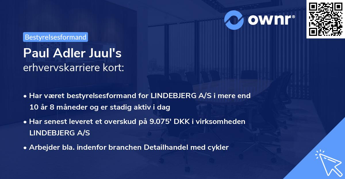 Paul Adler Juul's erhvervskarriere kort