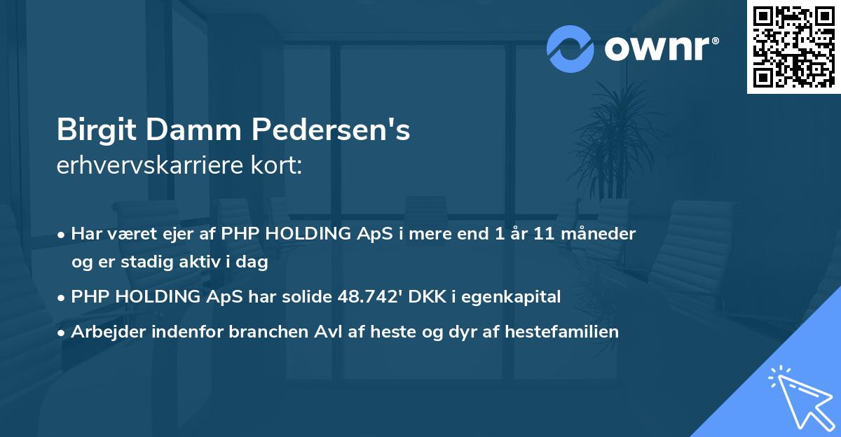 Birgit Damm Pedersen's erhvervskarriere kort