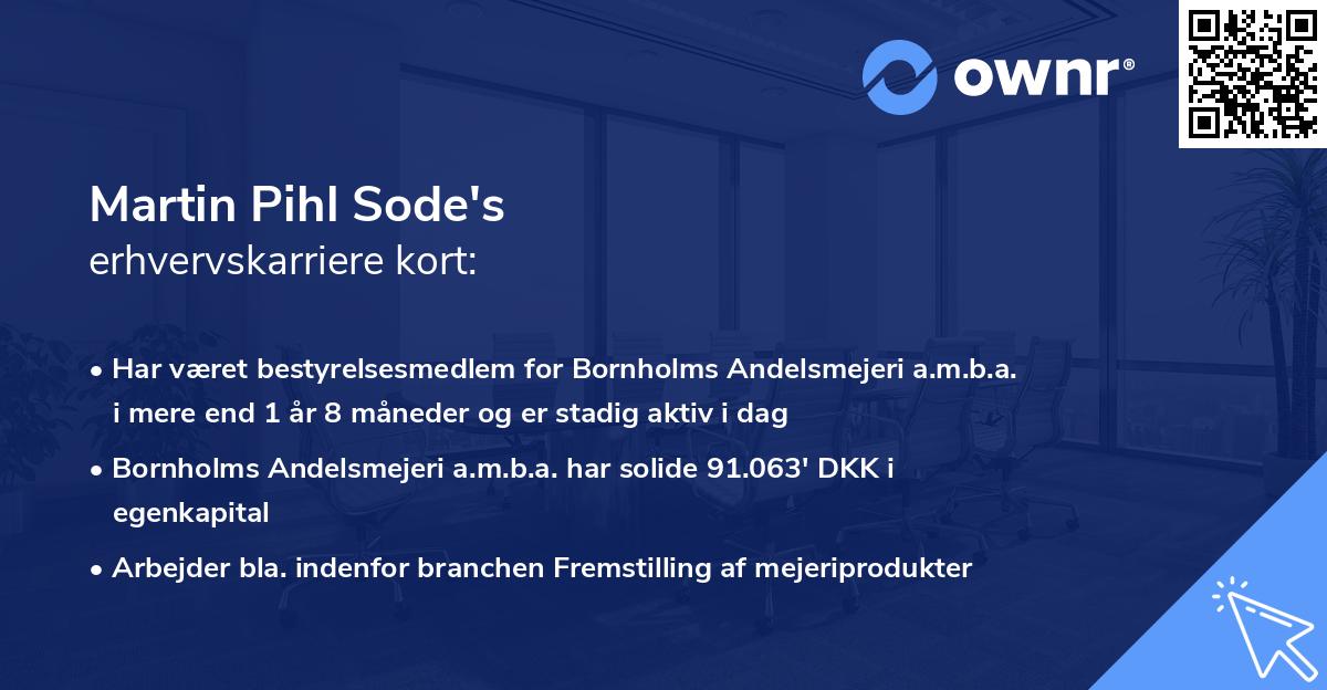 Martin Pihl Sode's erhvervskarriere kort