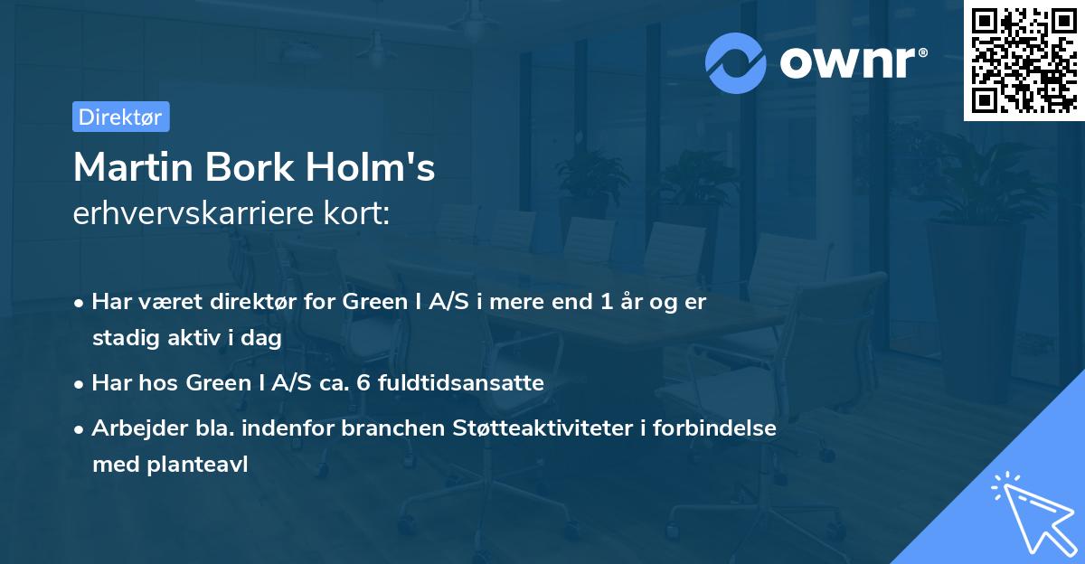 Martin Bork Holm's erhvervskarriere kort