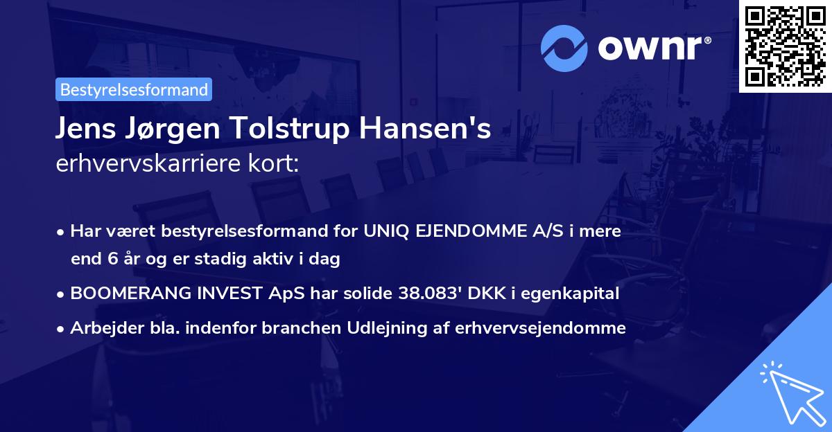 Jens Jørgen Tolstrup Hansen's erhvervskarriere kort