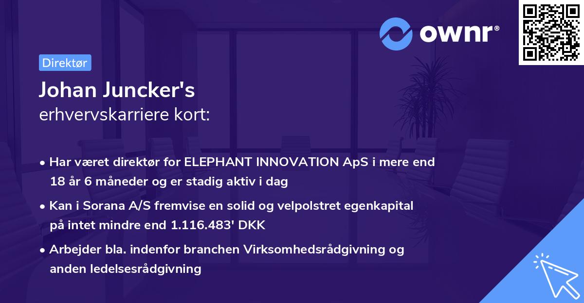 Johan Juncker's erhvervskarriere kort